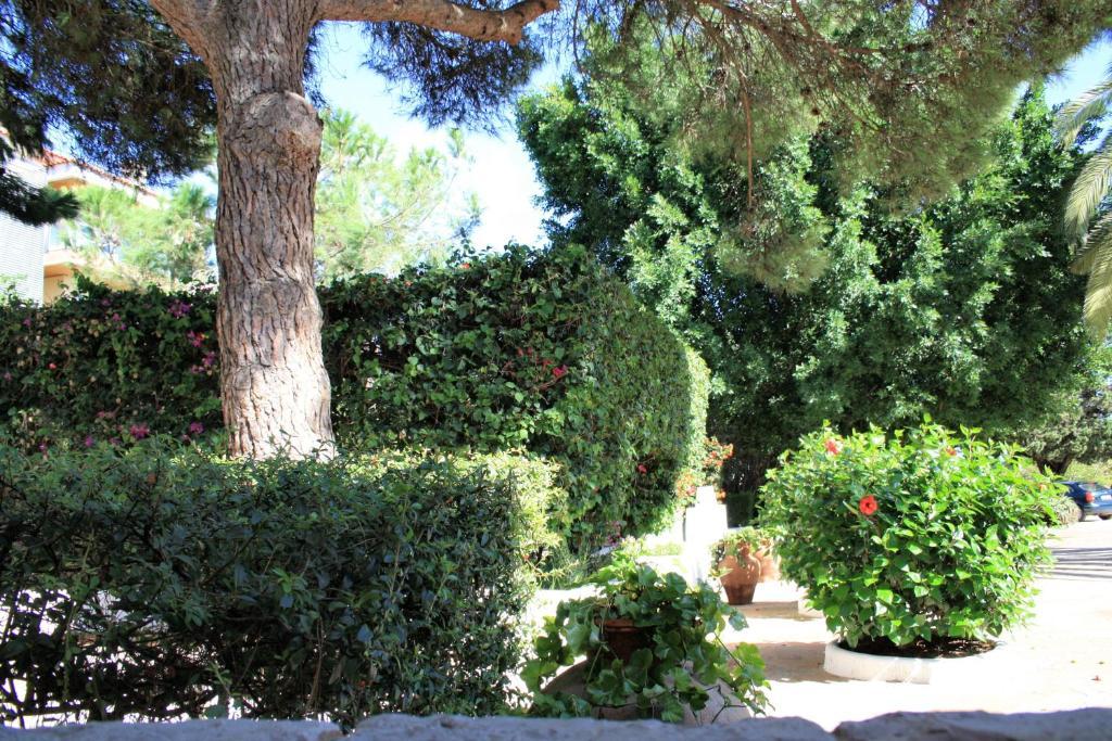 Quinta Da Ameijeira Lagos Exteriér fotografie