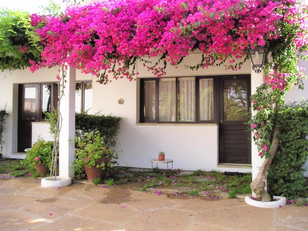 Quinta Da Ameijeira Lagos Pokoj fotografie